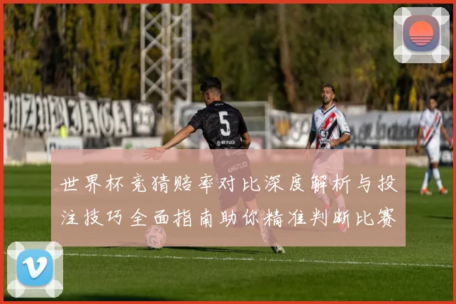 世界杯竞猜赔率对比深度解析与投注技巧全面指南助你精准判断比赛走势