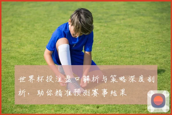 世界杯投注盘口解析与策略深度剖析，助你精准预测赛事结果