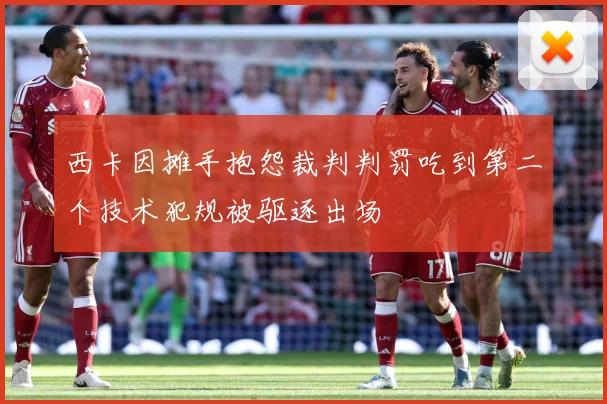 西卡因摊手抱怨裁判判罚吃到第二个技术犯规被驱逐出场