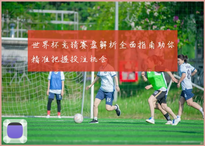 世界杯竞猜赛盘解析全面指南助你精准把握投注机会
