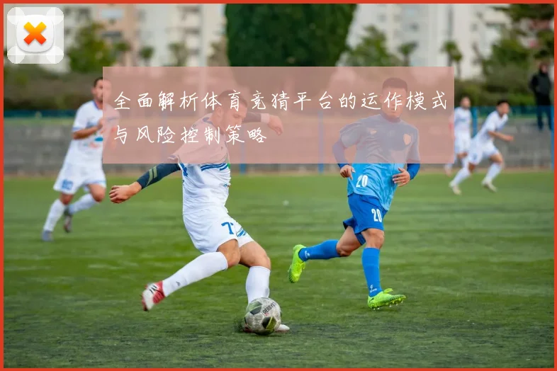 全面解析体育竞猜平台的运作模式与风险控制策略