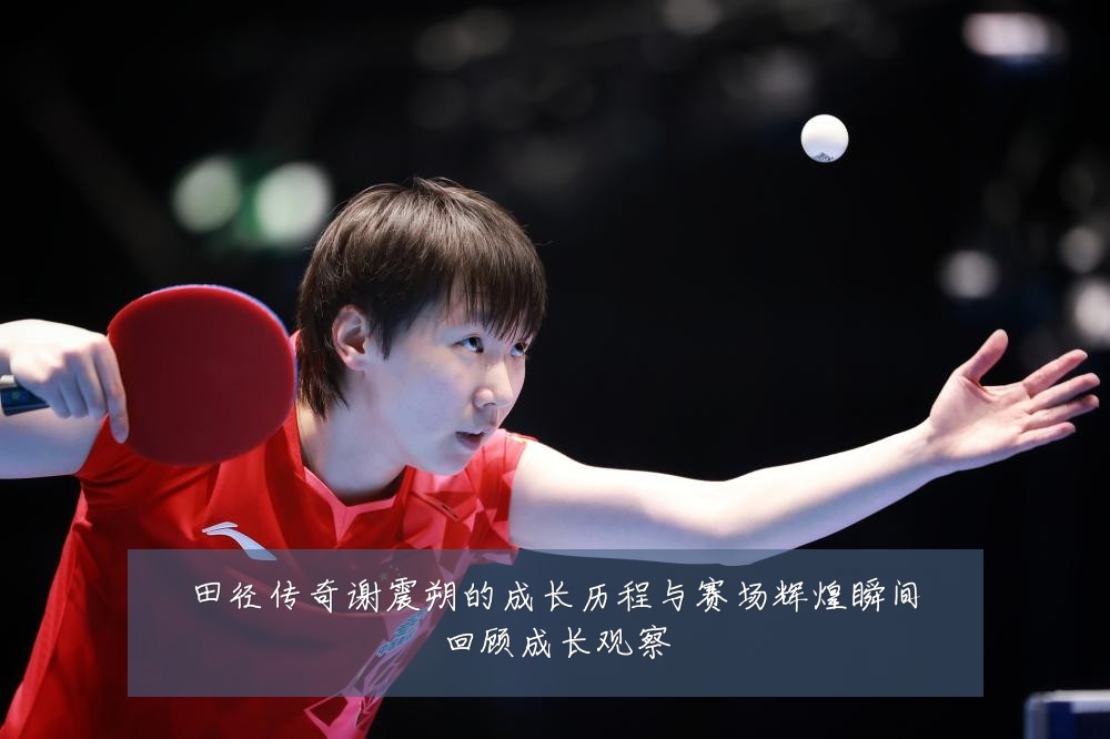 田径传奇谢震朔的成长历程与赛场辉煌瞬间回顾成长观察